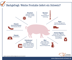 26 Produkte Vom Schwein