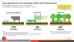 20210324 Dauergruenland C Speicher 20210324 Dauergruenland C Speicher