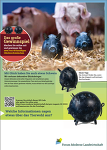 (c) FML: Stadt.Land.Wissen - Gewinnspiel (c) FML: Stadt.Land.Wissen - Gewinnspiel