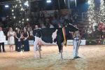 Loh Milana von Loh-an Holsteins wir Junior Supreme Champion
© Christine Massfeller Loh Milana von Loh-an Holsteins wir Junior Supreme Champion
© Christine Massfeller