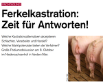Ferkelkastration - Zeit für Antworten Ferkelkastration - Zeit für Antworten