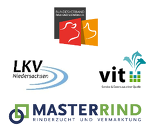 5 Logos 5 Logos