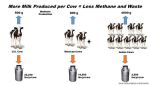 (c) USDA: Zusammenhang zwischen Leistung und Methanemissionen (c) USDA: Zusammenhang zwischen Leistung und Methanemissionen