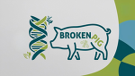 BrokenPig Projektlogo Final BrokenPig Projektlogo Final