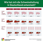 BZLGrafik "Wie hat sich die Schweinehaltung in Deutschland entwickelt? BZLGrafik "Wie hat sich die Schweinehaltung in Deutschland entwickelt?