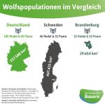 (c)DBV: Wolfsrudel im Ländervergleich (c)DBV: Wolfsrudel im Ländervergleich