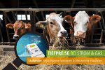 meistro - Aktion: jetzt Preise melken (01.01.2020) meistro - Aktion: jetzt Preise melken (01.01.2020)