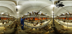 (c)Foto: Forum Moderne Landwirtschaft: VR Huhn 360 Grad (c)Foto: Forum Moderne Landwirtschaft: VR Huhn 360 Grad