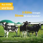 (c)FNR: aus Gülle wird Strom (c)FNR: aus Gülle wird Strom