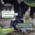 (C)Forum: Rinderzucht entdecken (C)Forum: Rinderzucht entdecken