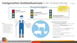 Fachgerechter Antibiotikaeinsatz Nutztierhaltung