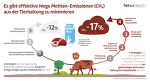 Grafik Fokus Fleisch Methanreduktion Tierfütterung Grafik Fokus Fleisch Methanreduktion Tierfütterung