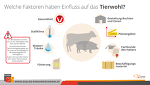 Einflussfaktoren Tierwohl Einflussfaktoren Tierwohl