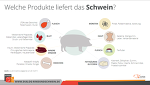 Produkte Vom Schwein