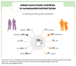 Source: FAO. 2023. Contribution of terrestrial animal source food to healthy diets for improved nutrition and health outcomes – An evidence and policy overview on the state of knowledge and gaps. Rome, FAO. https://doi.org/10.4060/cc3912en