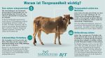 Health for Animals (BfT)