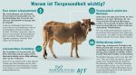 Health for Animals (BfT) Health for Animals (BfT)
