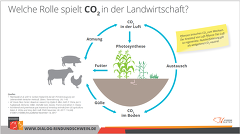 Bedeutung von CO2 in der Landwirtschaft
© BRS e.V.