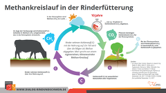 20210224 Methankreislauf Rinderfuetterung