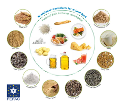 FEFAC- Nutzung von Nebenprodukten für die Tierernährung