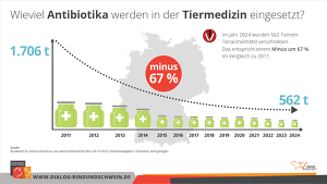 Entwicklung Antibiotikaeinsatz Tierhaltung