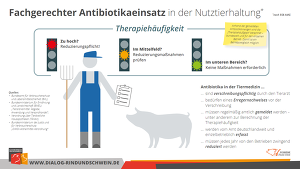 Fachgerechter Antibiotikaeinsatz Schwein