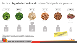 Tagesbedarf An Protein