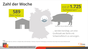 Anzahl Schweine Ernährung Stadt