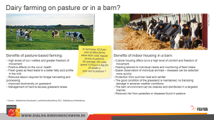 Dairy Farming On Pasture Or In A Barn
