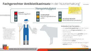 Fachgerechter Antibiotikaeinsatz Rind