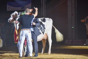 Wahl des Supreme Champions Elina von Wilcor Holstein, Warmsen