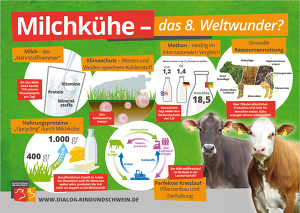 Poster Zum Weltmilchtag Variante Fleckvieh Braunvieh