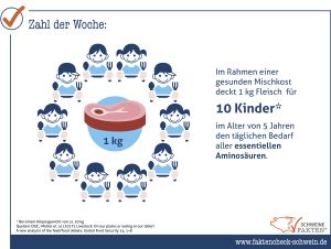 03 Fleisch Eiweißbedarf Kinder