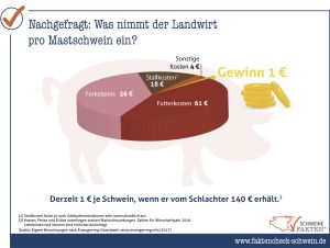 43 Gewinn Pro Mastschwein