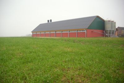 Außenansicht eines Schweinestalls (Bild: SVR).