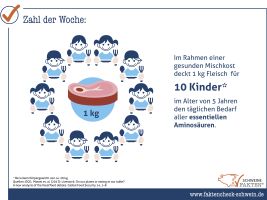 03 Fleisch Eiweißbedarf Kinder 03 Fleisch Eiweißbedarf Kinder