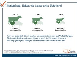 24 Anzahl Nutztiere Produktivität 24 Anzahl Nutztiere Produktivität