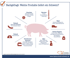 26 Produkte Vom Schwein 26 Produkte Vom Schwein