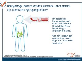 30 Eisenversorgung Durch Tierische Lebensmittel 30 Eisenversorgung Durch Tierische Lebensmittel