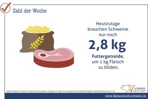 38 Futterverwertung Schwein 38 Futterverwertung Schwein