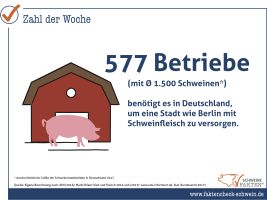 45 Wieviele Schweine Zur Versorgung Einer Stadt 45 Wieviele Schweine Zur Versorgung Einer Stadt